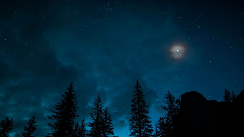 Dark cloudy night sky with tree silhouettes in the foreground