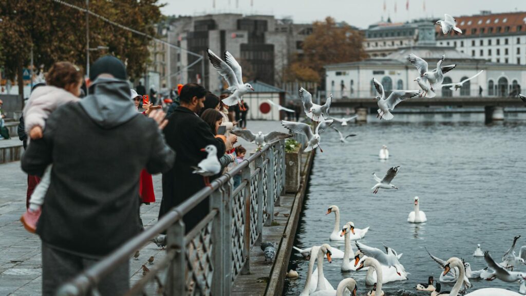 Group of people feeding birds along a lake walkway
