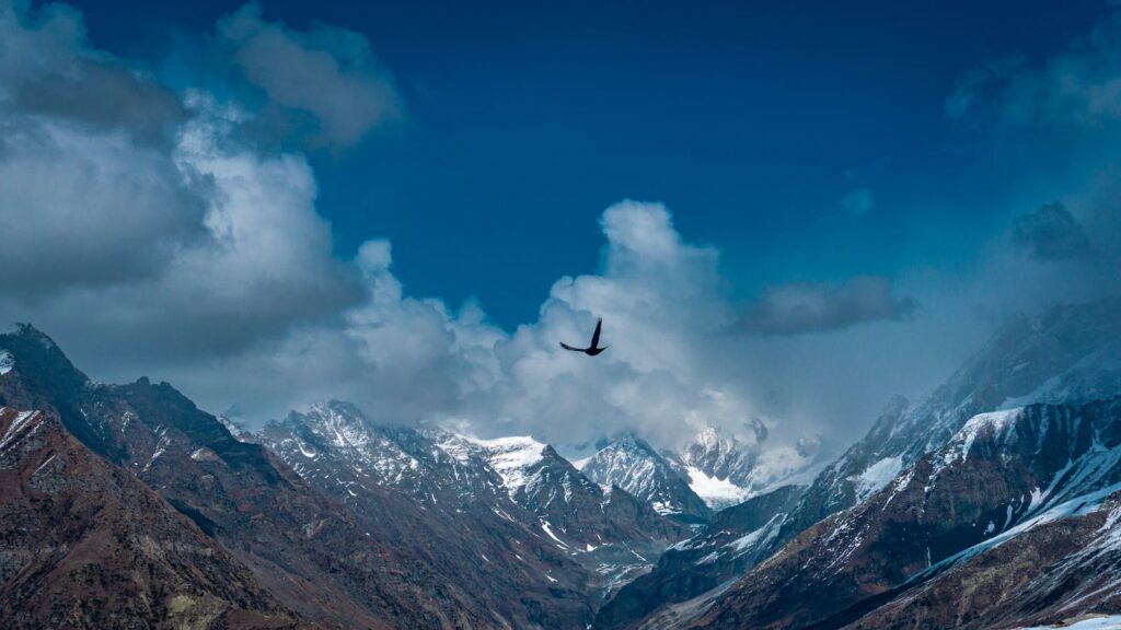 Stunning view of the Himalayan mountains with a bird soaring in the clear blue sky.