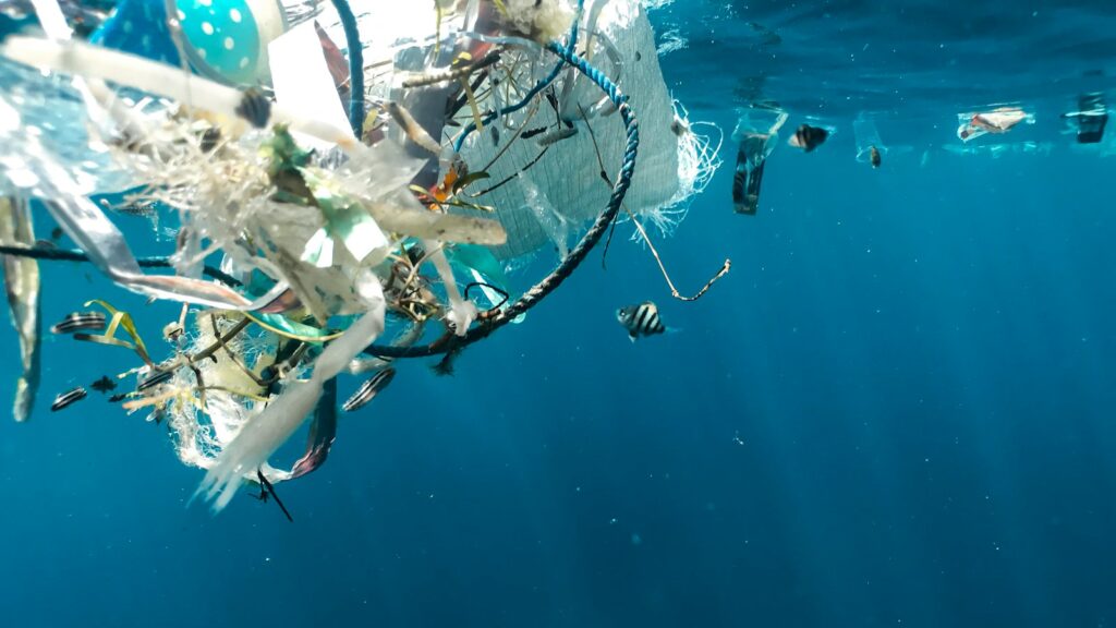 Plastic trash floating on the surface of water