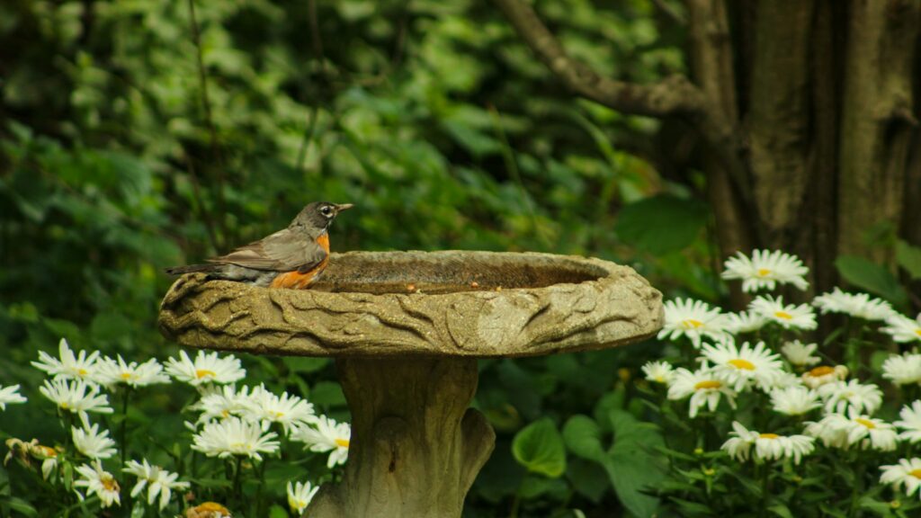 A bird bath placed in a blooming flower garden
