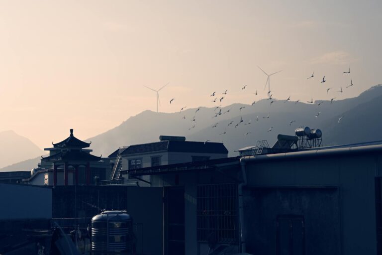 How Birds React to Solar Panels and Wind Farms - bird-life.com