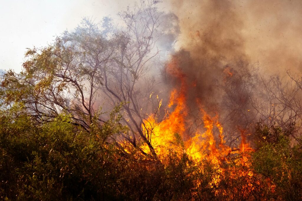 Bushfire in Australia