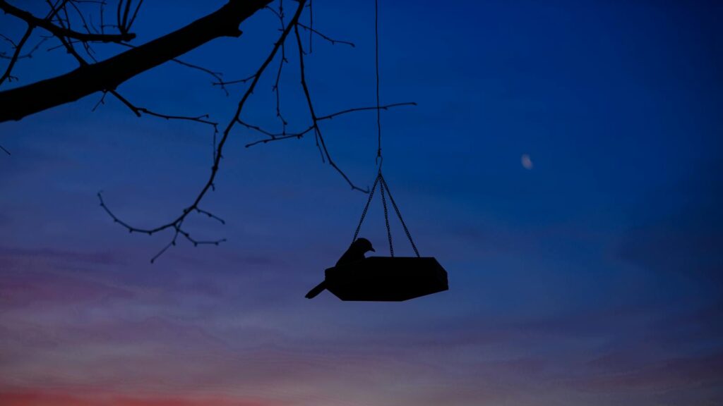 ilhouette of a bird perched on a feeder during sunset as the sky fades to night