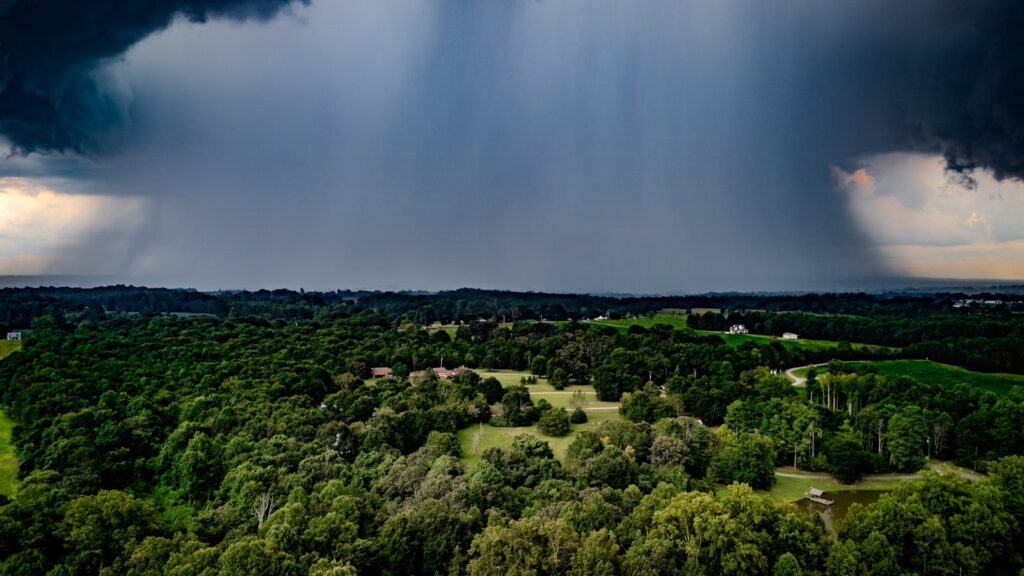Heavy rain pouring over a dense forest