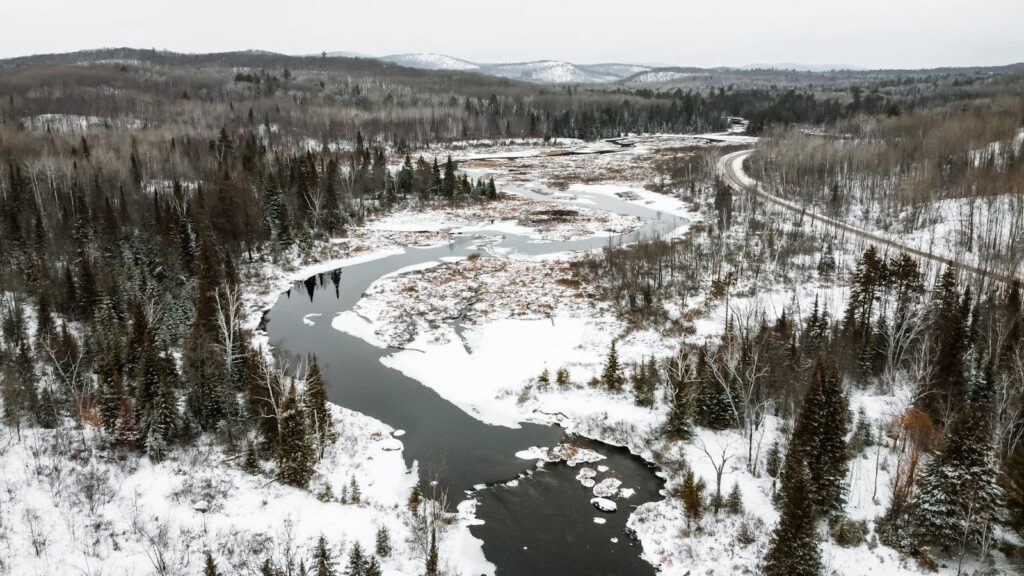 Taiga biome landscape with a winding river, dense coniferous forest, and snow-covered ground