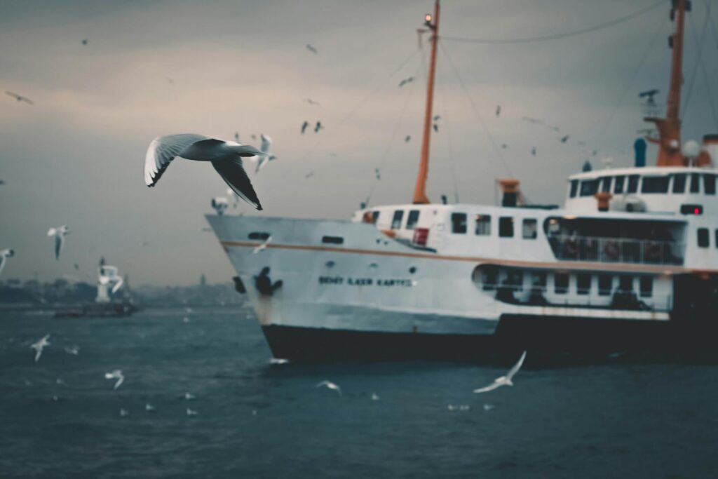A powerful moment at sea with a ferry surrounded by flying seagulls under dark, dramatic skies.