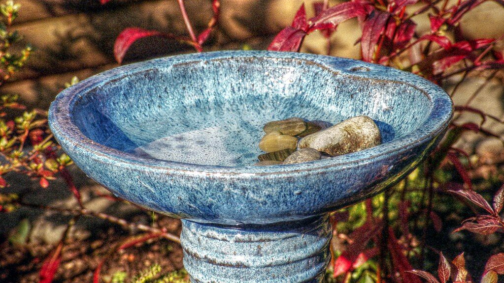 Blue bird bath with clear water and stones added for elevation, creating a safe spot for birds