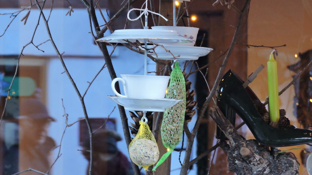 Teacup bird feeders suspended in a backyard setting