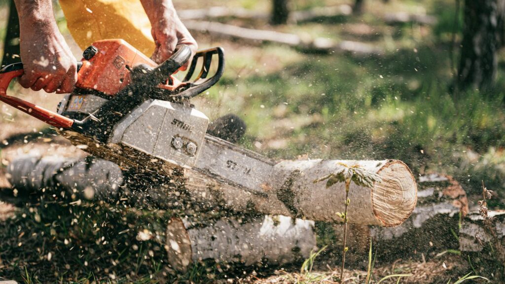 Man using a chainsaw to cut logs on the forest floor