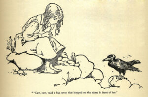 An illustration of a bird book.