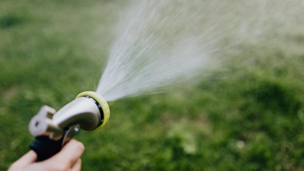 Person using hose to spray water