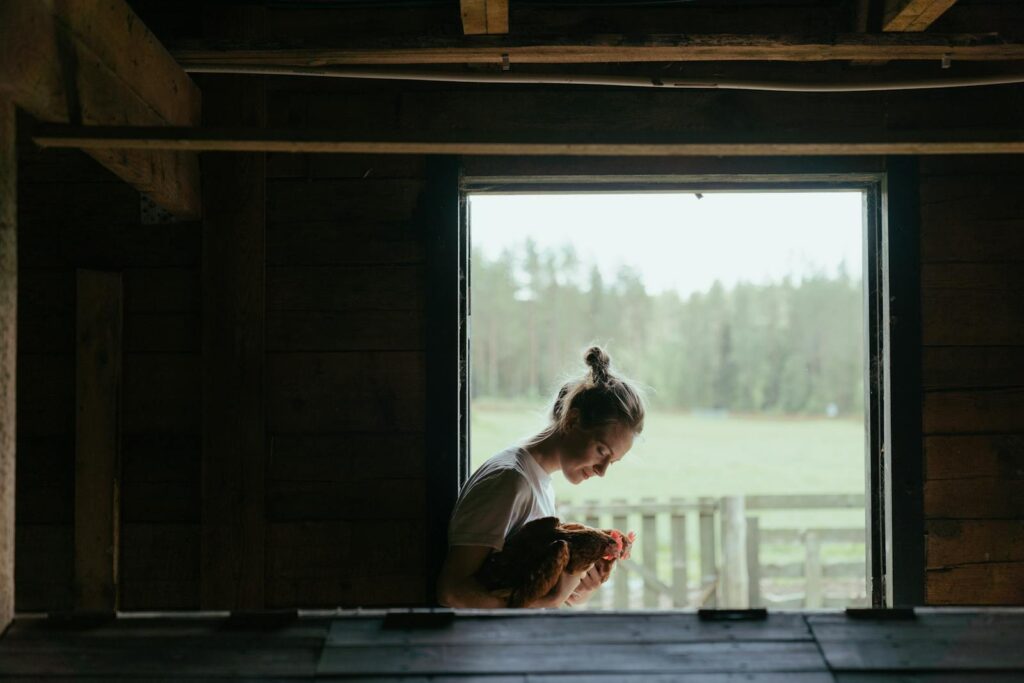 A young woman gently holding a chicken in a rustic farmhouse setting, looking outside.