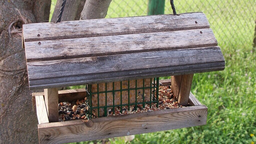 DIY bird feeder with an added suet feeder feature