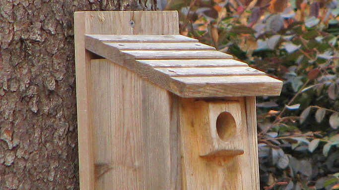 bird nesting box featuring an extended entrance hole