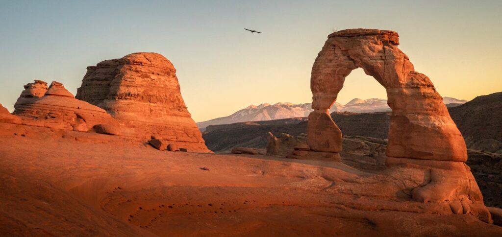 Scenic view of Delicate Arch with a bird flying overhead at sunrise in Utah's Arches National Park.