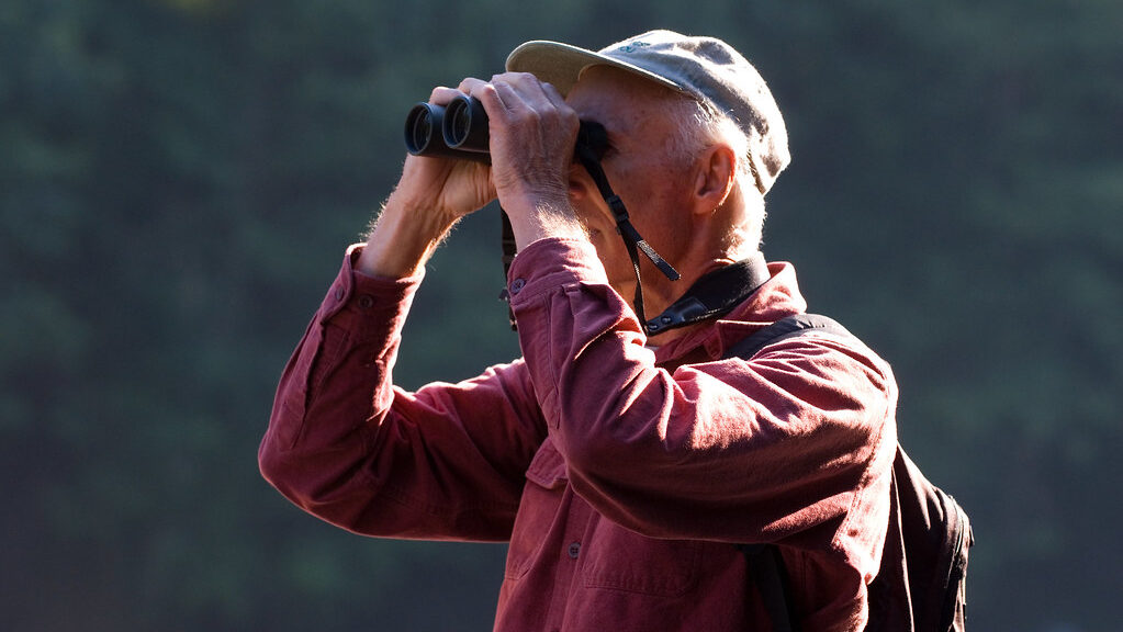 Birdwatcher observing birds in a park during early morning