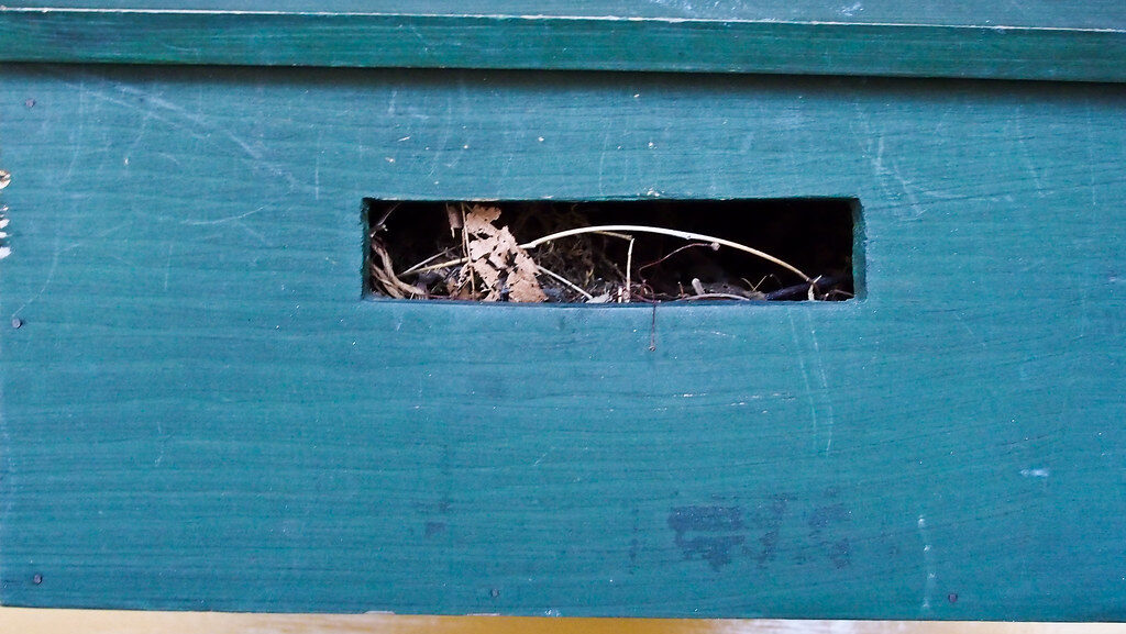 Small wooden nesting box tailored for wrens