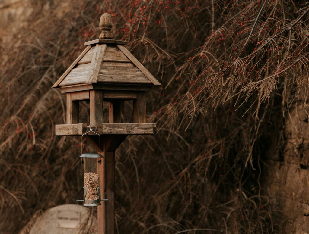 A rustic wooden birdhouse on a post, set against an earthy backdrop, with an attached bird feeder.