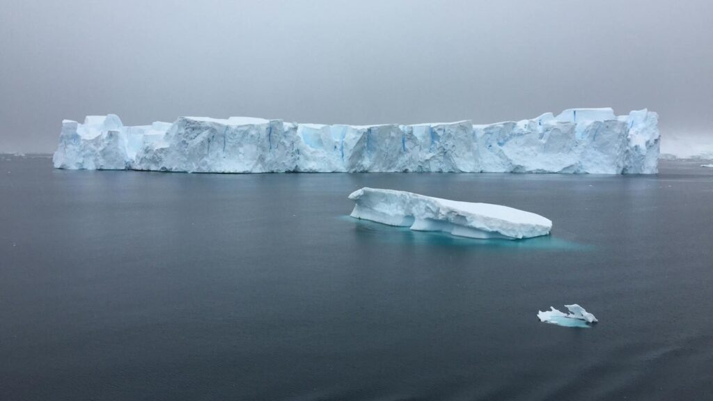 Icebergs floating in cold water beneath a dark sky