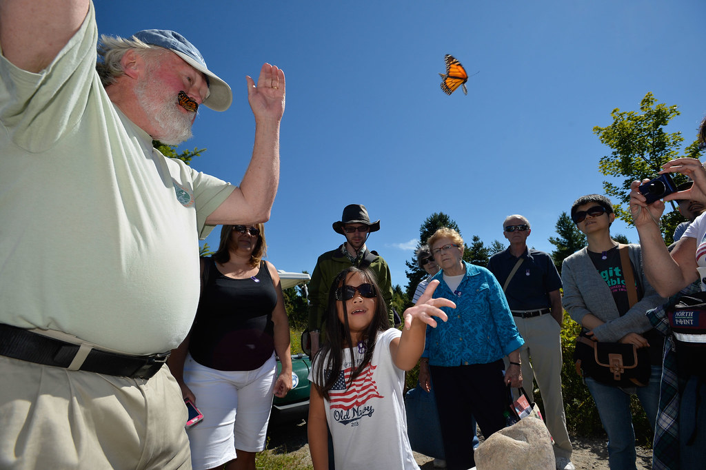 A Monarch butterfly is released into the sky as people watch.
