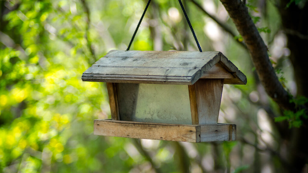 Empty bird feeder covered in dust