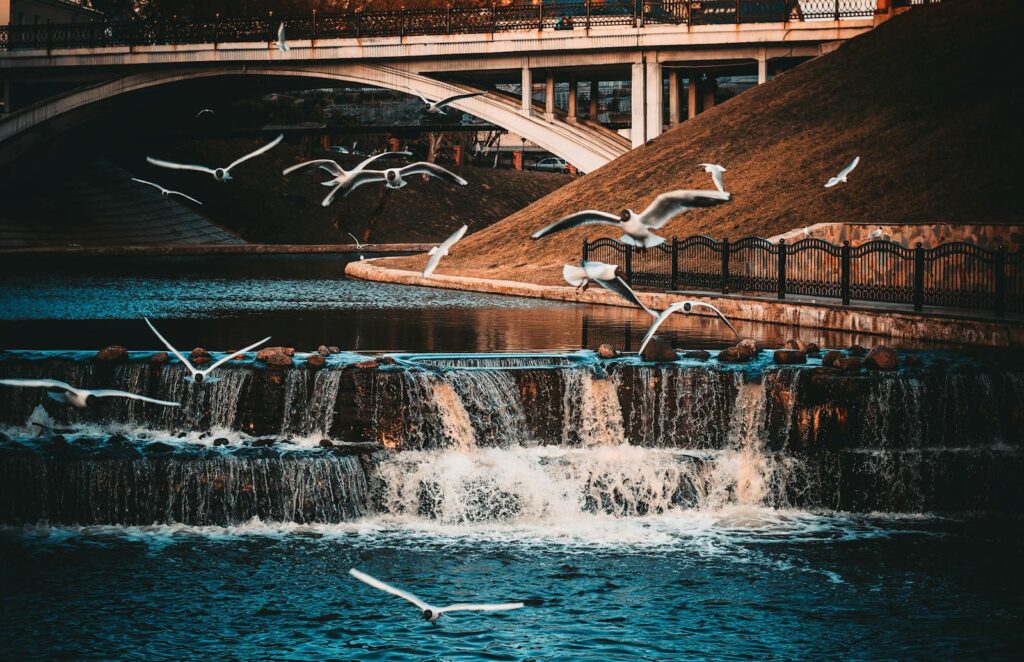 Seagulls flying over a picturesque city river.
