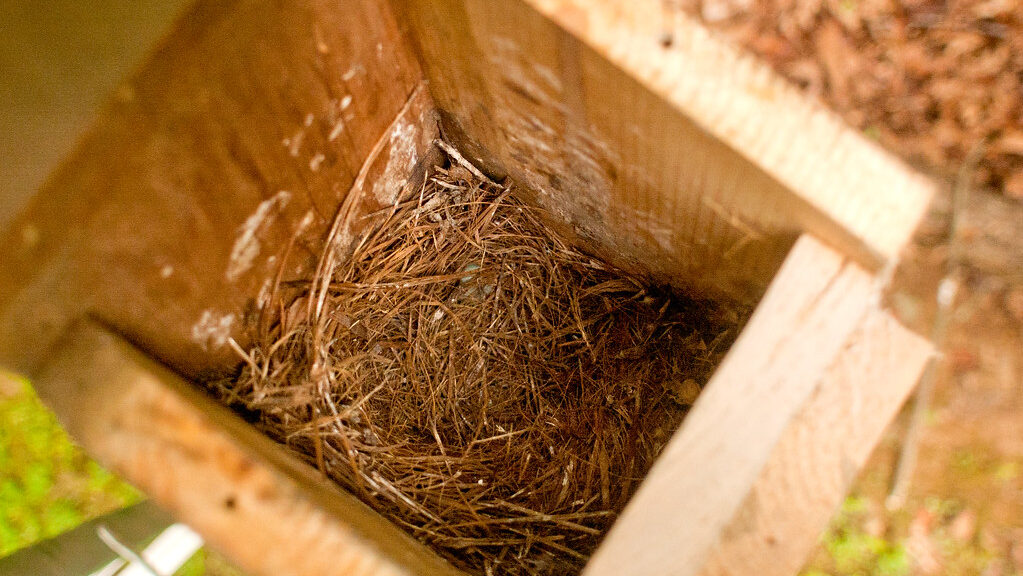Top view of a wooden nesting box with the lid open for cleaning