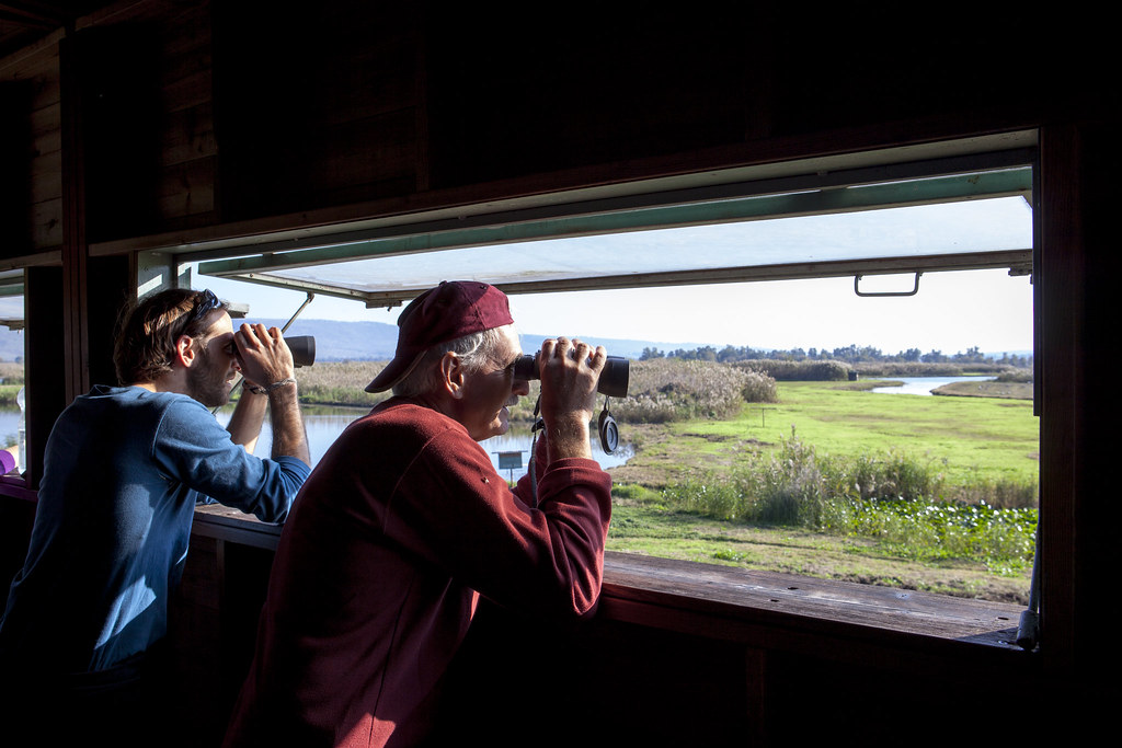 Two people look through binoculars at a wetland landscape from inside a bird hide.