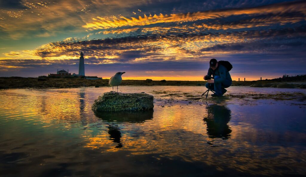 A tranquil scene of a photographer capturing the golden hour at a seaside, with a seagull perched on a rock.
