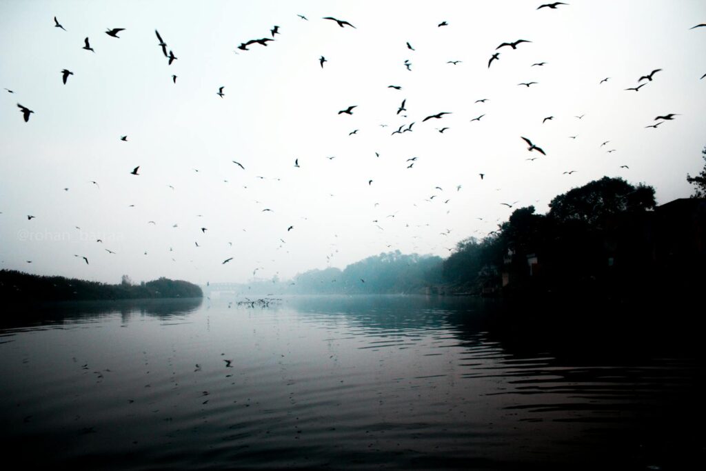 A serene image of birds flying over a calm river at dawn, creating a peaceful silhouette.