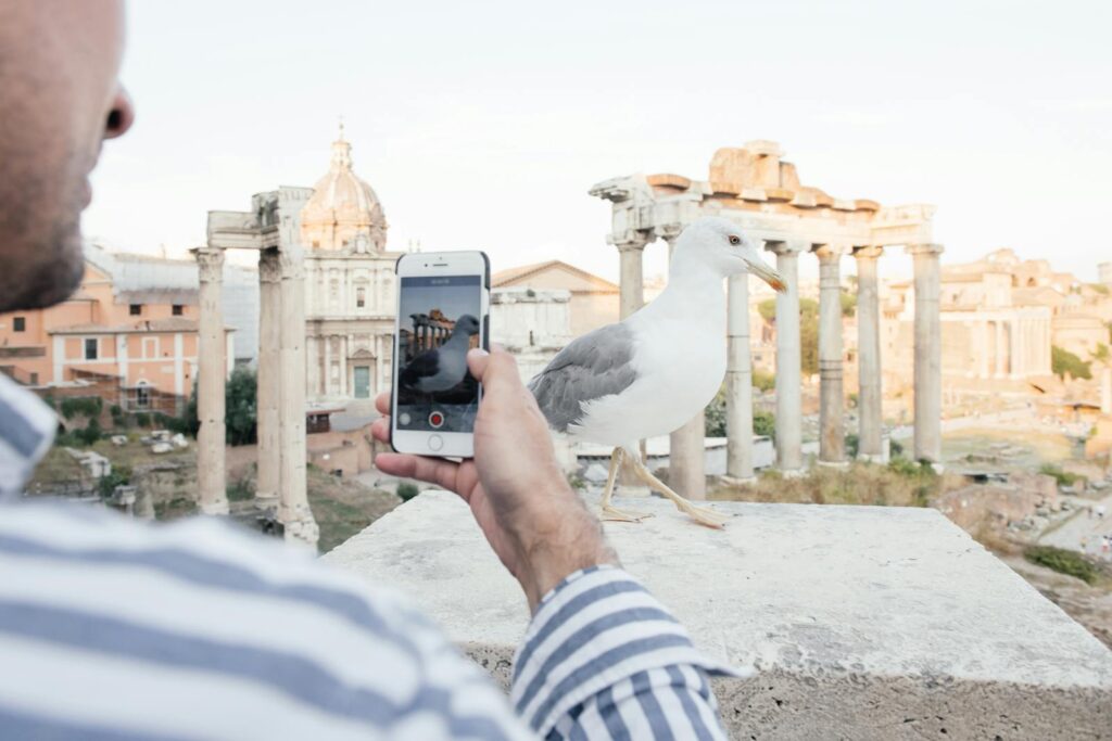 A man uses a smartphone to photograph a seagull in front of the ancient Roman Forum during a summer day.