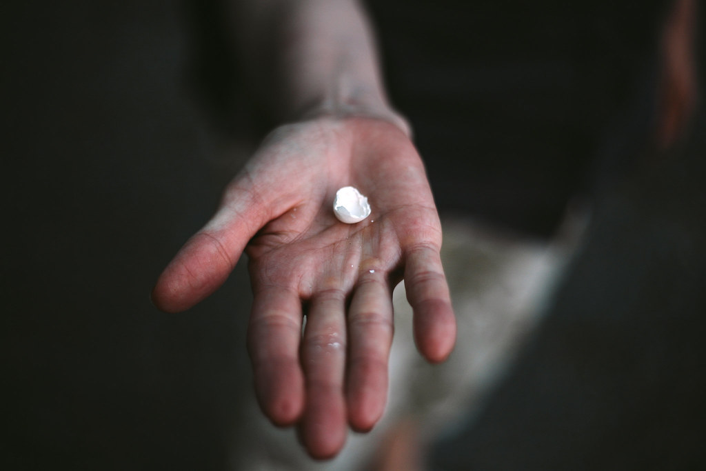 A tiny, fragmented white hummingbird eggshell rests in the palm of a person's hand.