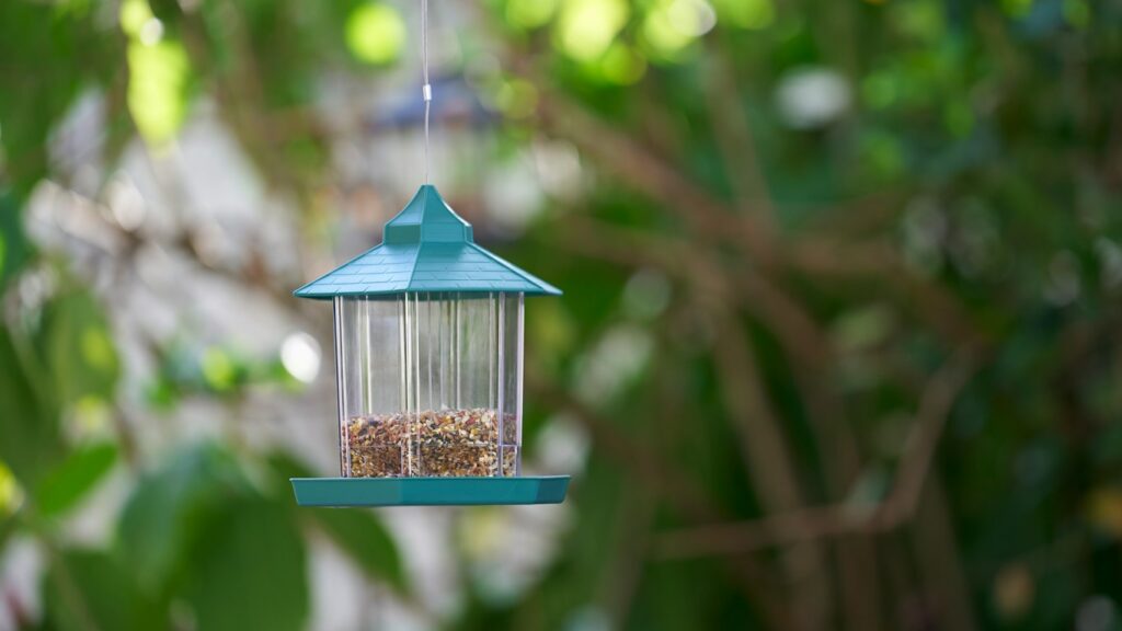 Bird feeder suspended from tree branch in garden setting