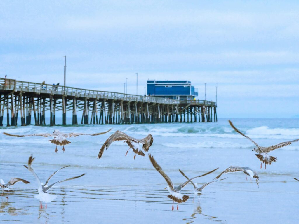 Seagulls flying over the beach near a seaside pier under a cloudy sky.