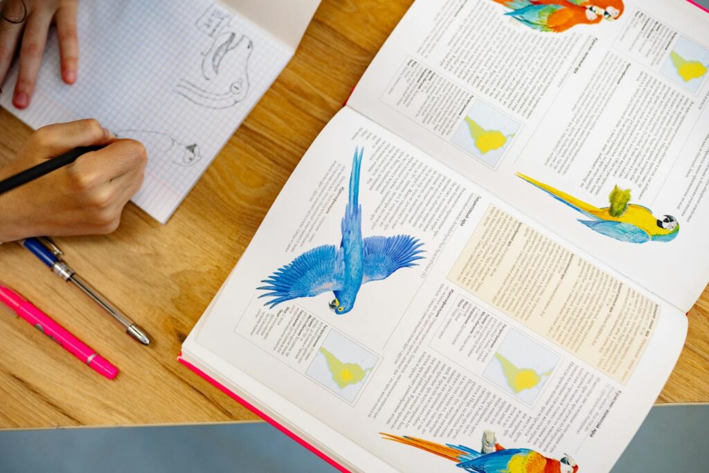 A person sketching birds next to an open book with parrot illustrations.