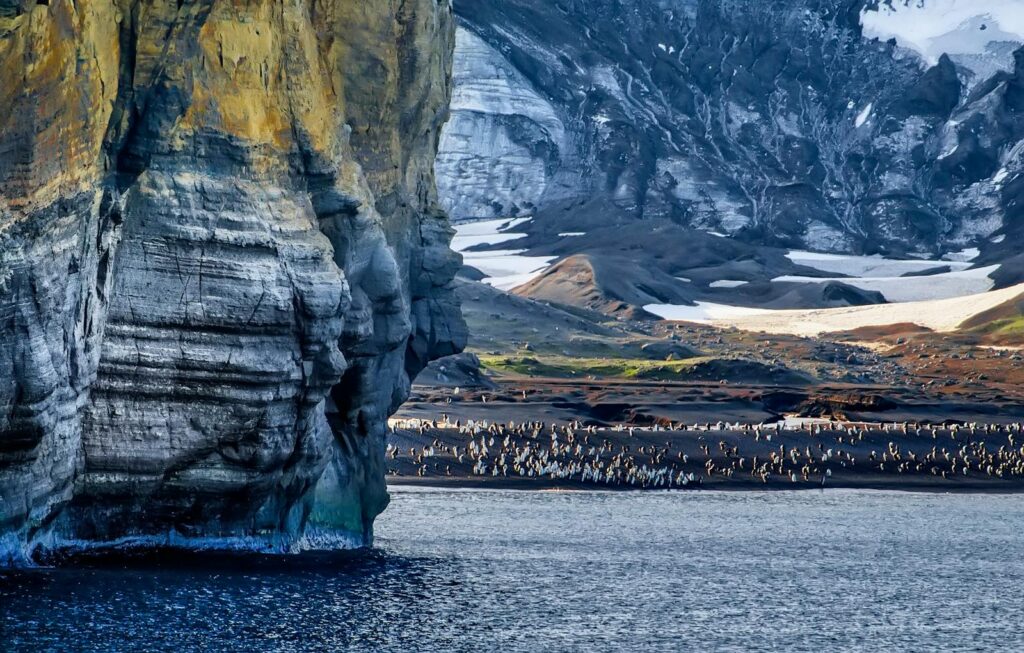 Vast Antarctic landscape featuring a rocky coast and a large penguin colony by the sea.