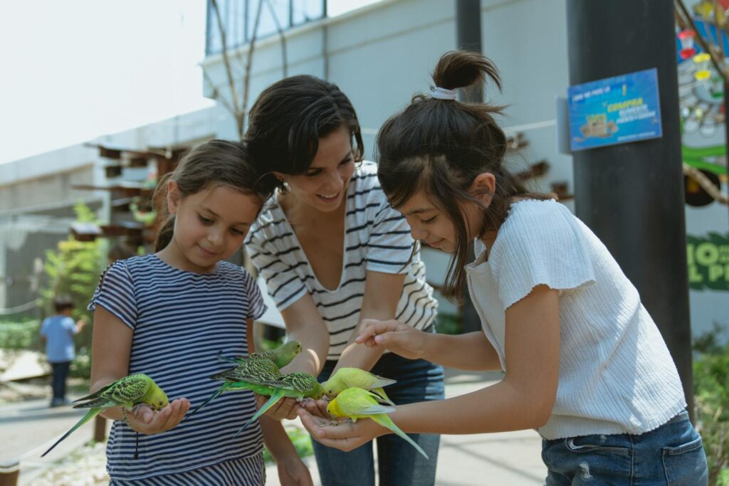 A woman and two girls feed colorful parakeets at an outdoor aviary.