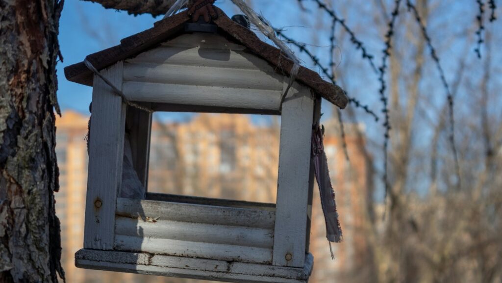 Rustic, weathered birdhouse hanging from a tree branch