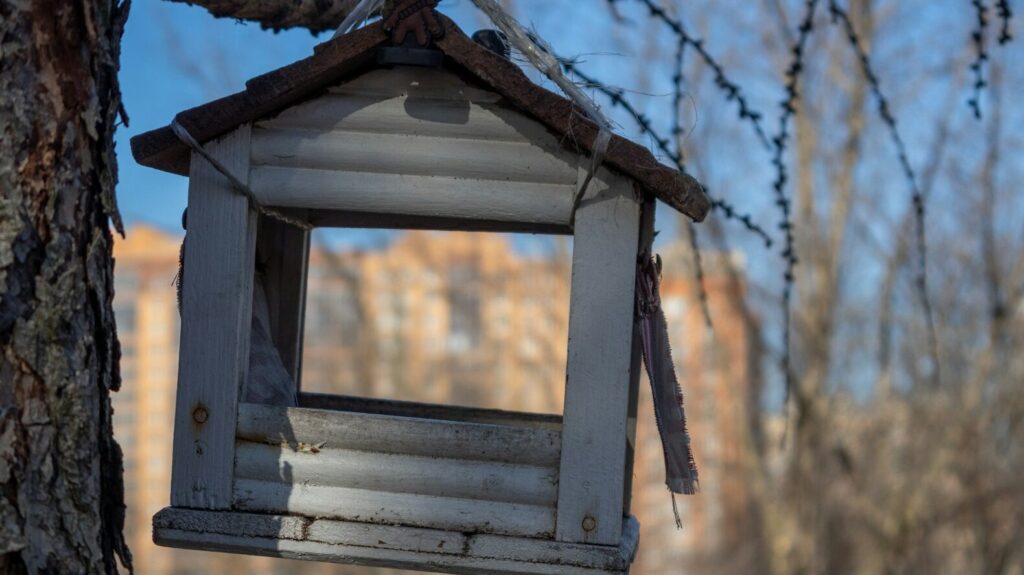 Rustic, weathered birdhouse hanging from a tree branch