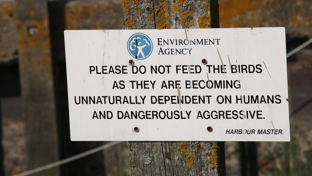 Informational sign urging visitors not to feed birds to protect ecosystem