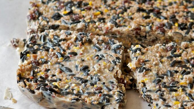 Sliced suet cake with visible seeds and grains