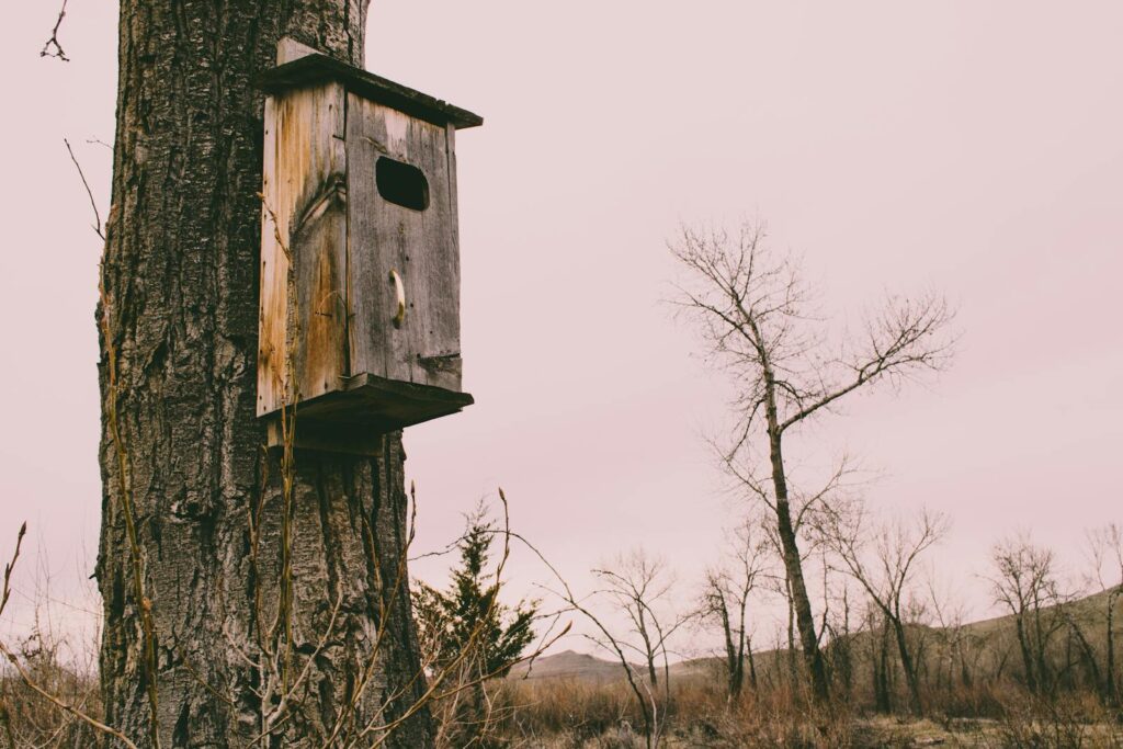 A weathered birdhouse mounted on a tree in a serene, wintry landscape under a pale sky.