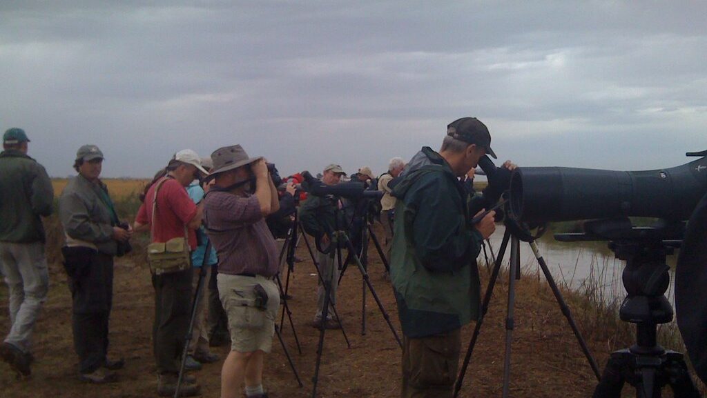 Group of people in a birdwatching workshop standing in a field