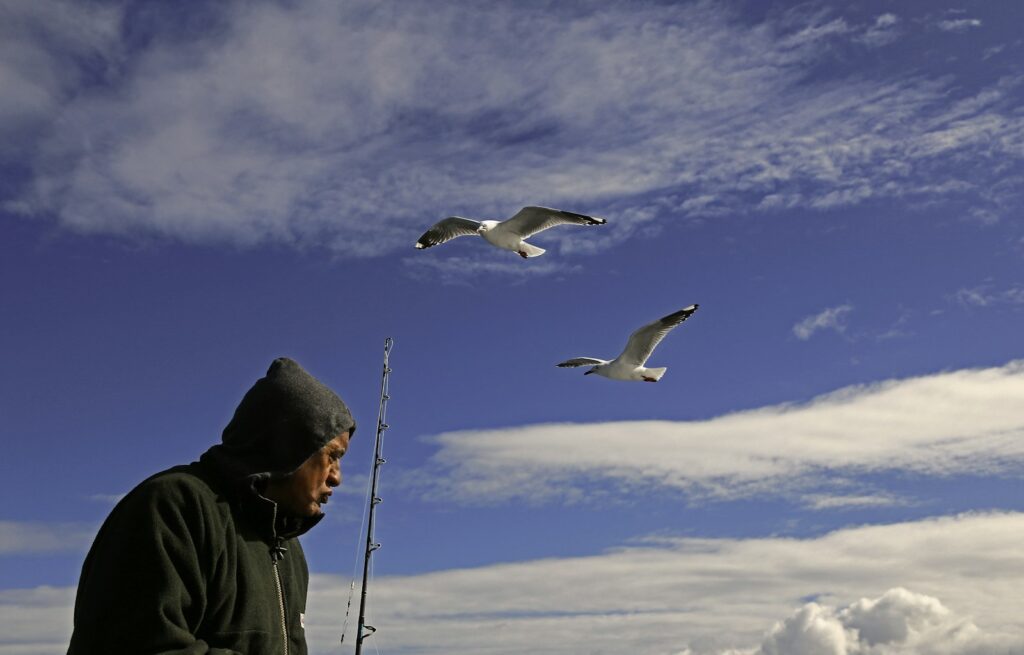 Two gulls fly in a blue sky above a person fishing.