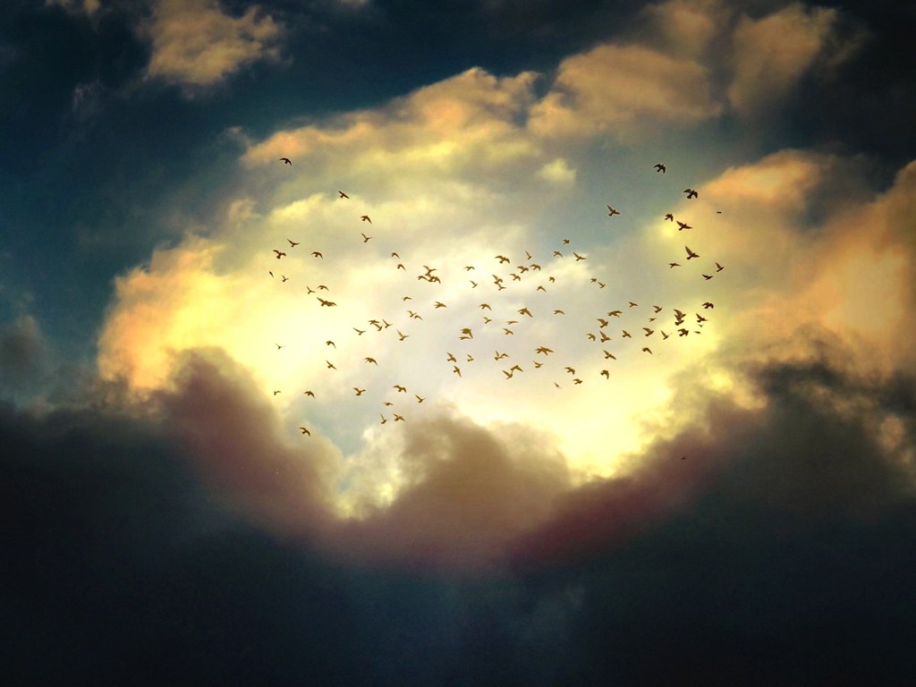 Birds are flying in the sky with clouds.
