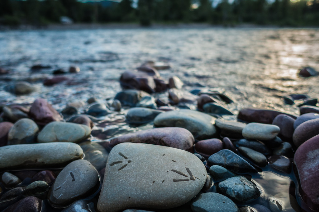 Bird footprints are painted on a rock near water.