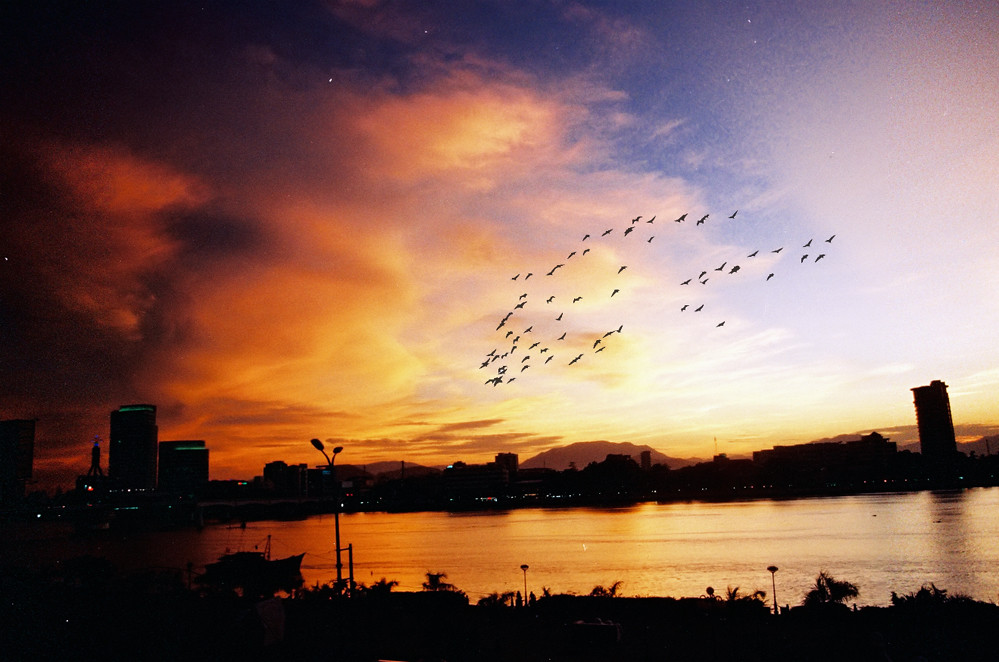 The image shows birds flying in the sky during sunset.