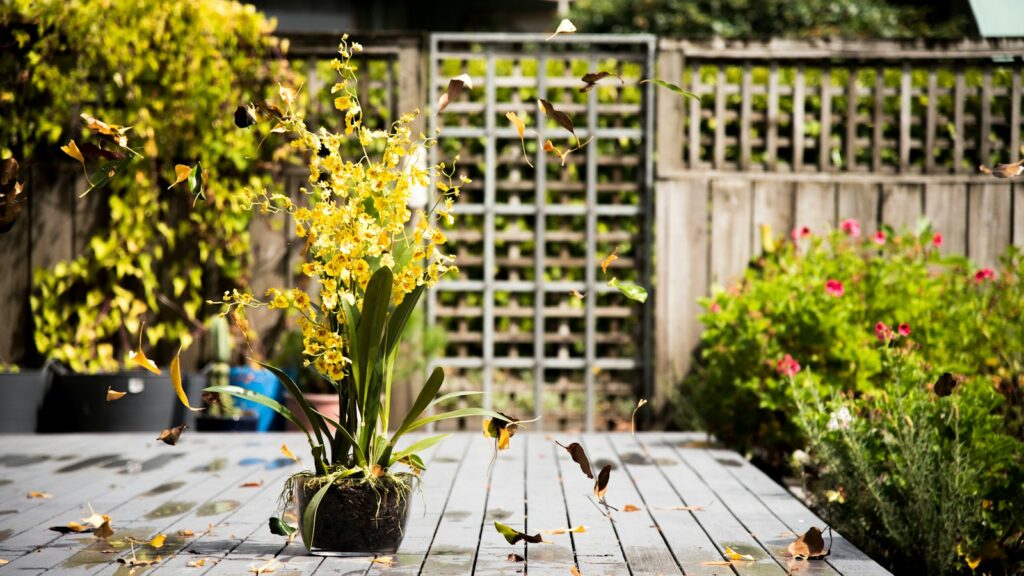 otted plant placed on outdoor table in a backyard garden