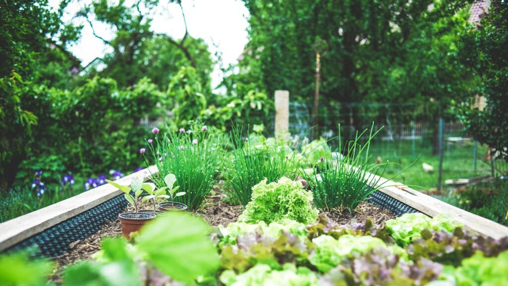 Garden bed with potted plants